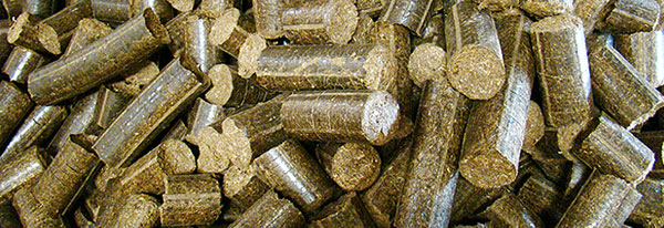 Biomass Briquettes