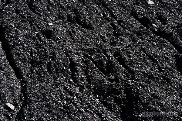 Raw Materials Coal