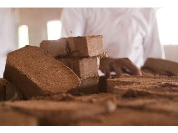 cocopeat Briquette blocks