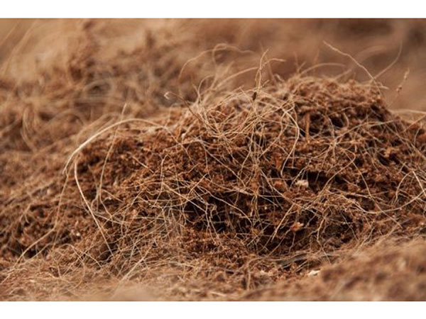 coco peat fibre